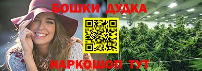прущие крисы Бийск