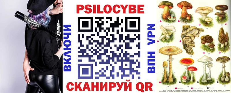 Псилоцибиновые грибы мицелий Егорьевск
